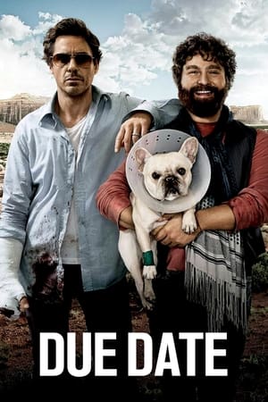 Due Date (2010) Dual Audio | Dubbed Hindi Movie BluRay [850MB]