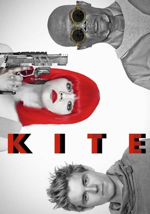Kite 2014 Dual Audio Movie | Dubbed Hindi Movie BluRay - 1GB
