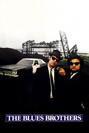 The Blues Brothers (1980) Dual Audio | Dubbed Hindi Movie BluRay 450MB ESubs